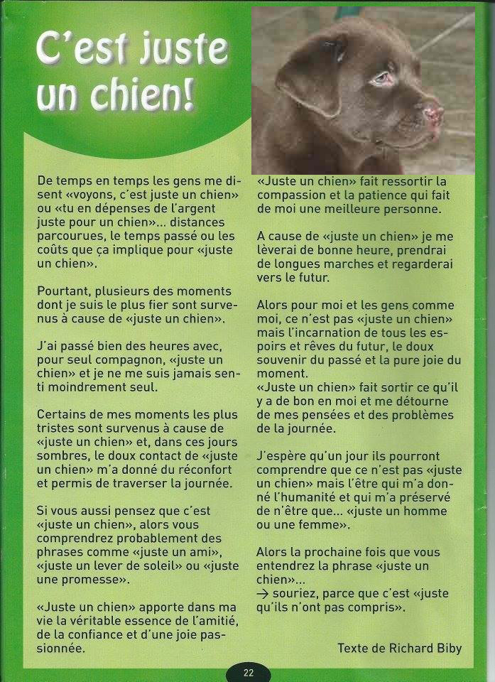 lettre pour changement de proprietaire de chien